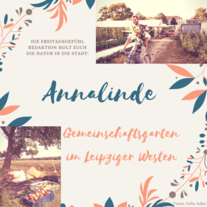 Annalinde: Gemeinschaftsgarten in Leipzig